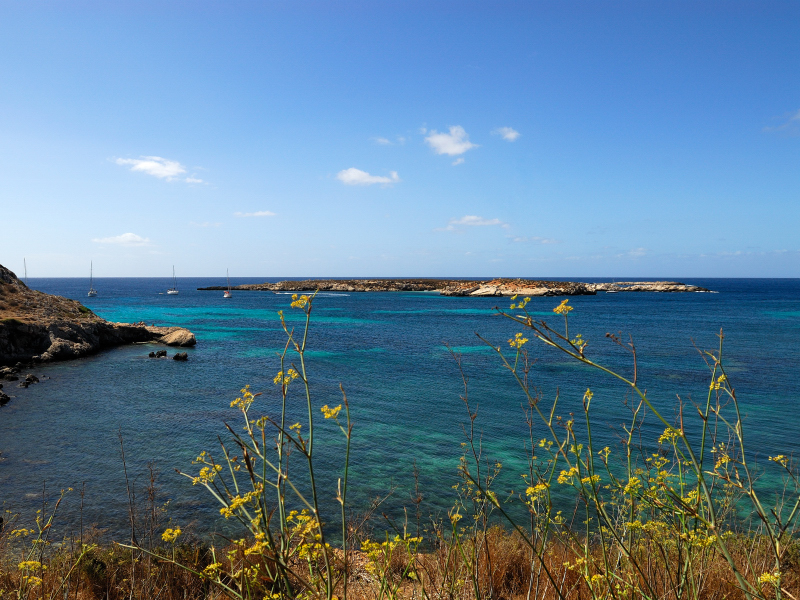 Isola di Favignana-10.JPG